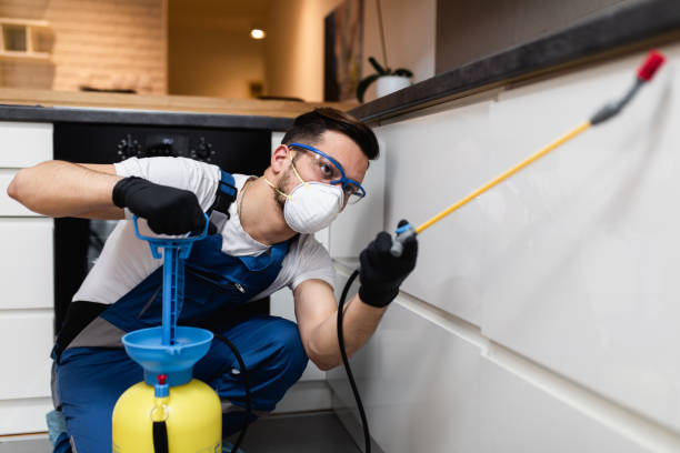 Best Commercial Pest Control Services  in Blair, NE