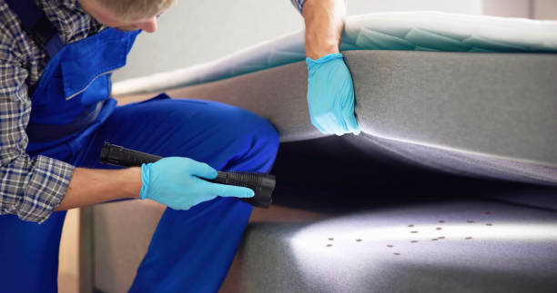 Best Pest Inspection Near Me  in Blair, NE