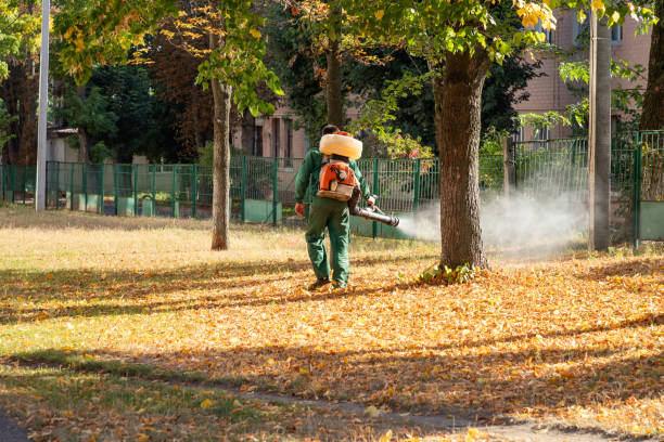 Best Affordable Pest Control Services  in Blair, NE
